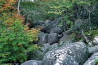 Chaos de granite (Sidobre)